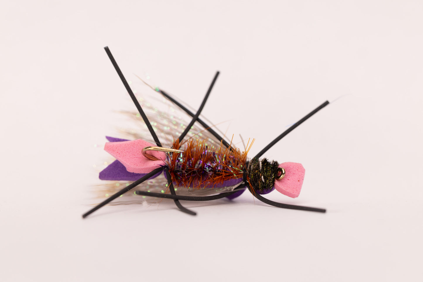 Amy's Ant (12 Flies)