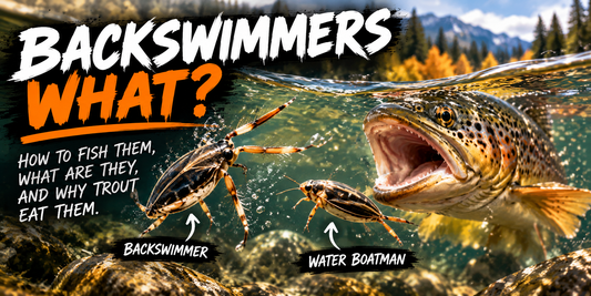 Backswimmers, Water Boatmen & the Trout That Eat Them