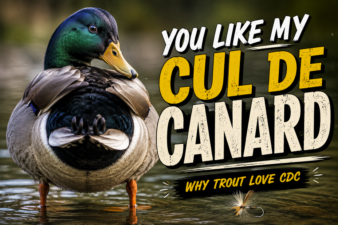 What Is CDC? Why This Feather Changed Modern Fly Fishing Forever