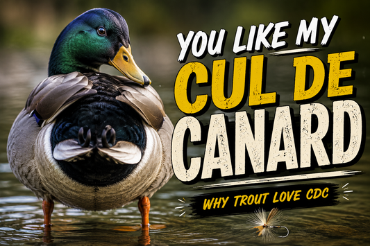 What Is CDC? Why This Feather Changed Modern Fly Fishing Forever