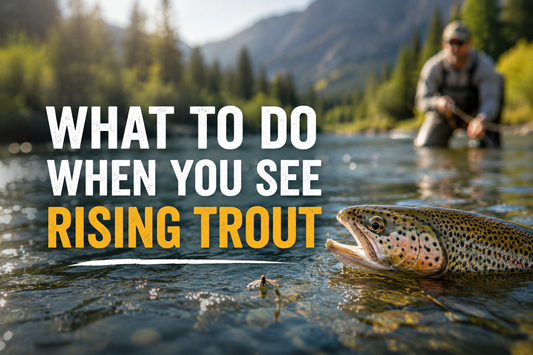 What To Do When You See a Rising Trout | Dry Fly Fishing Tips | FishFuel