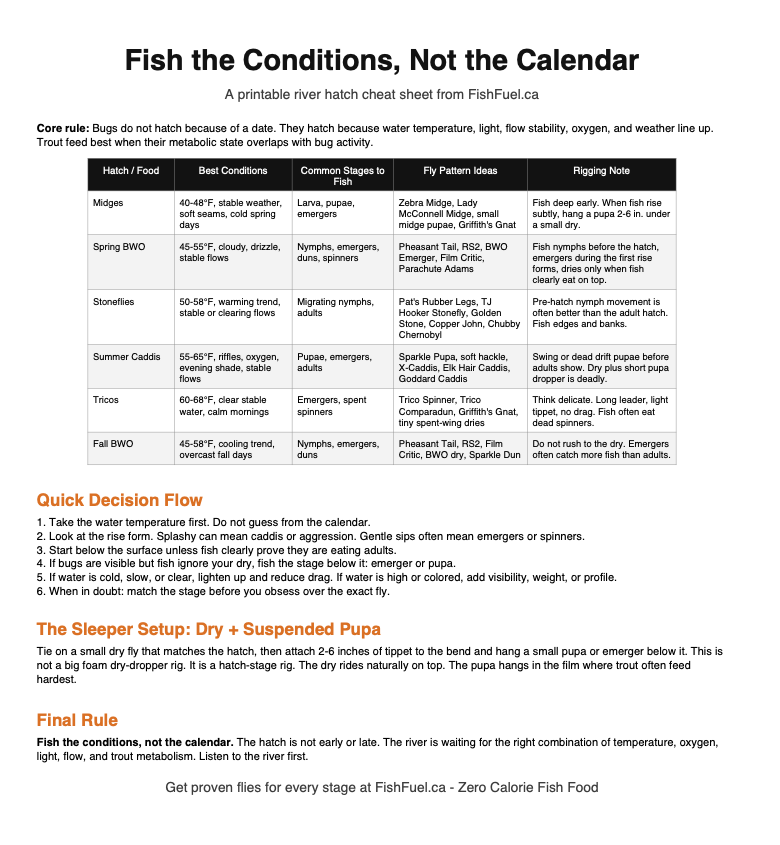 Trout Hatches: Water Temperature Beats the Calendar