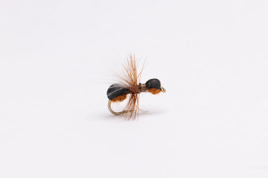 CDC Foam Ant (12 Flies)