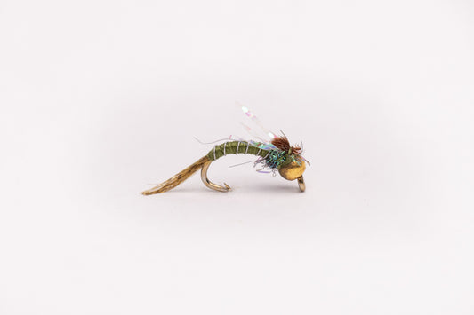 Evil Olive Bead Head Nymph (12 Flies)