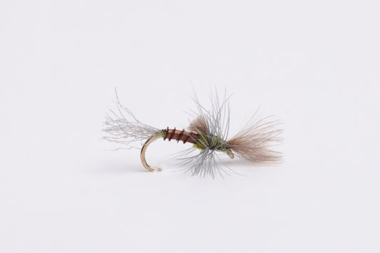 Last Chance Cripple - (12 Flies)