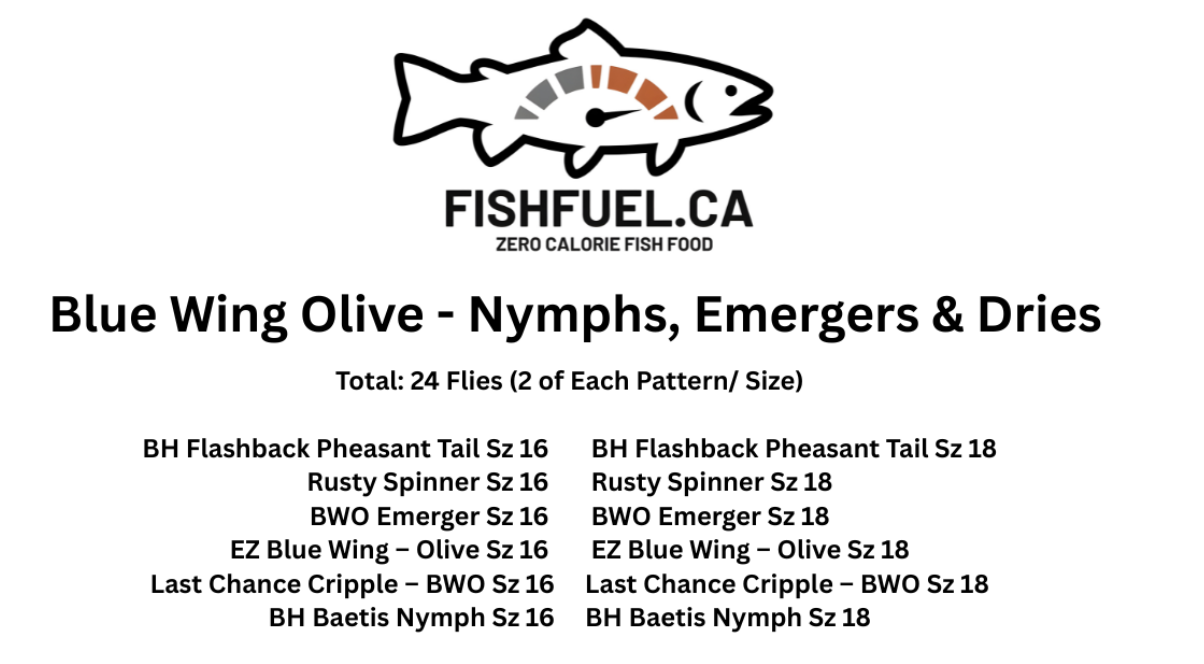 The BWO Lifecycle Box - Nymphs, Emergers & Dries [READY TO SHIP]