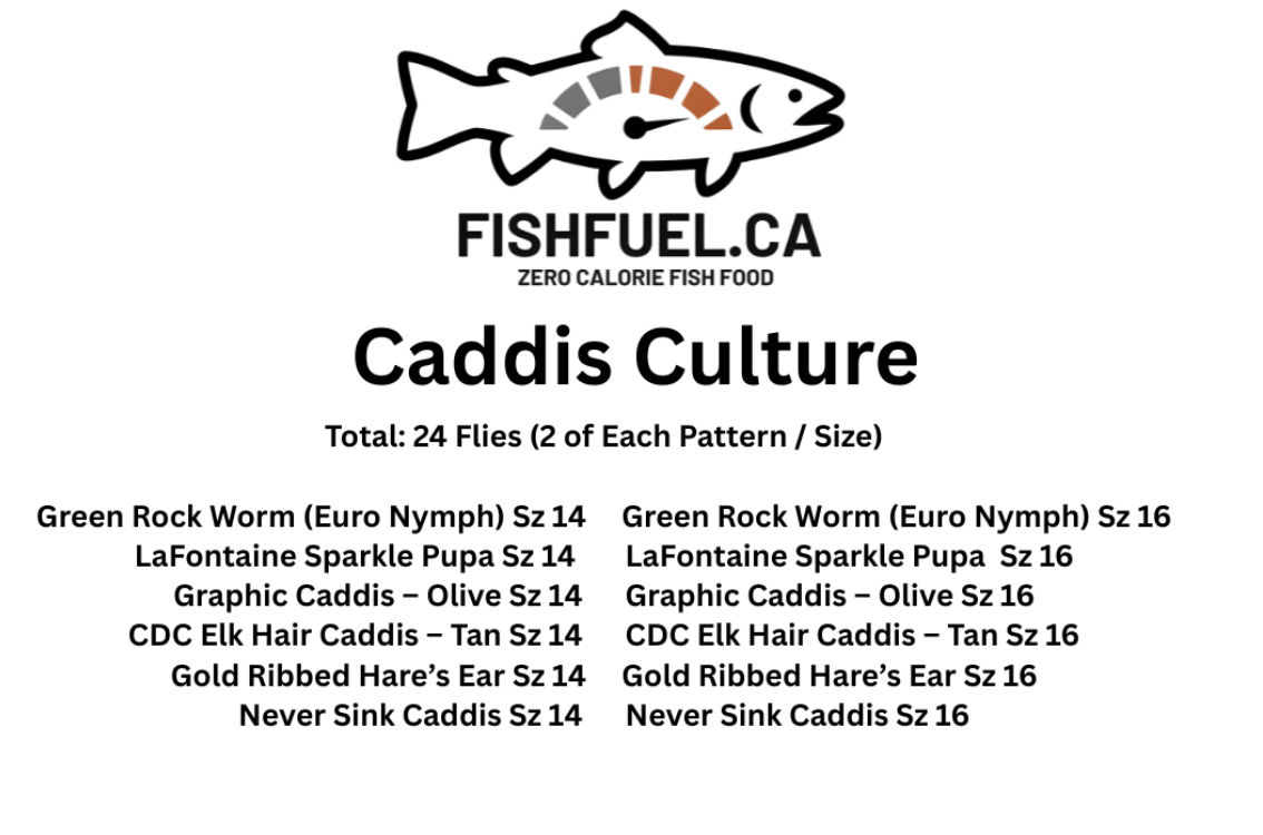 Caddis Culture Box - Larva, Pupa & Dries [READY TO SHIP]
