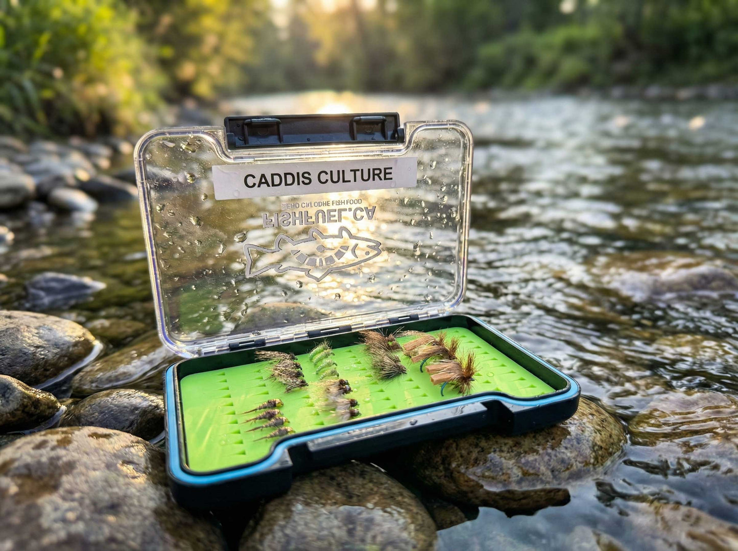 Caddis Culture Box - Larva, Pupa & Dries [READY TO SHIP]
