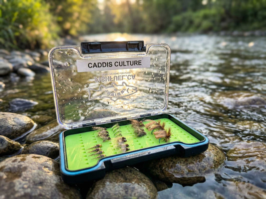 Caddis Culture Box - Larva, Pupa & Dries [READY TO SHIP]