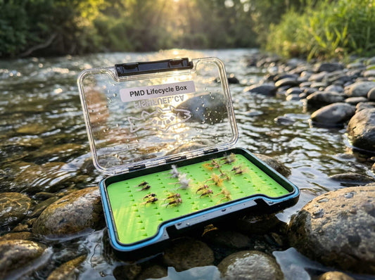 The PMD Box - Pale Morning Dun Collection [READY TO SHIP]